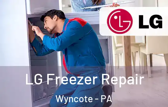  LG Freezer Repair Wyncote - PA
