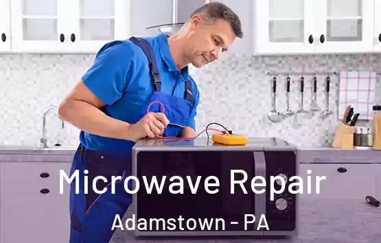  Microwave Repair Adamstown - PA