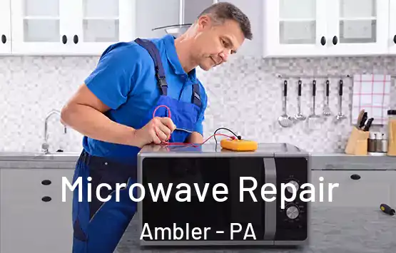  Microwave Repair Ambler - PA