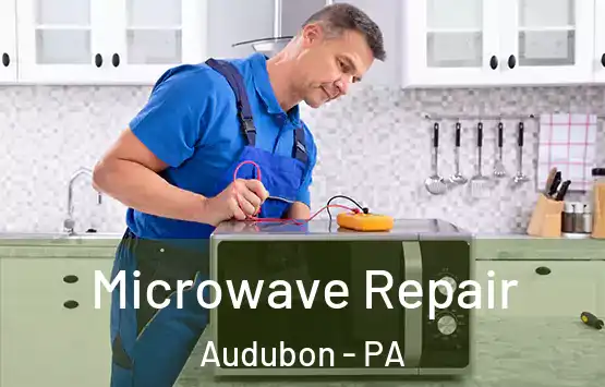  Microwave Repair Audubon - PA