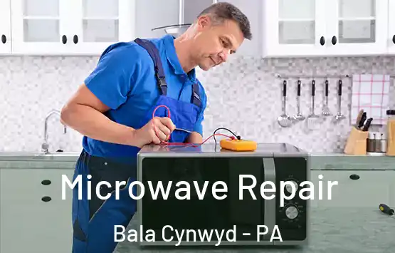  Microwave Repair Bala Cynwyd - PA