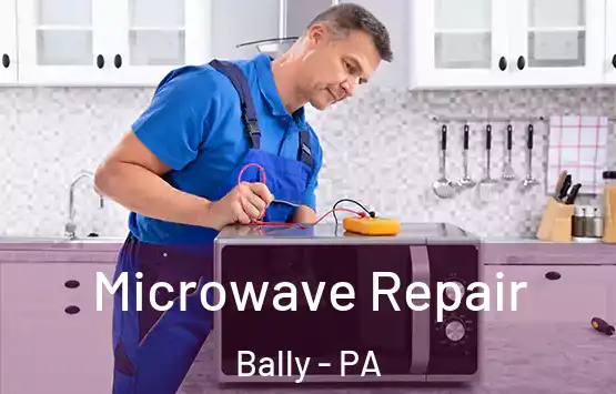  Microwave Repair Bally - PA