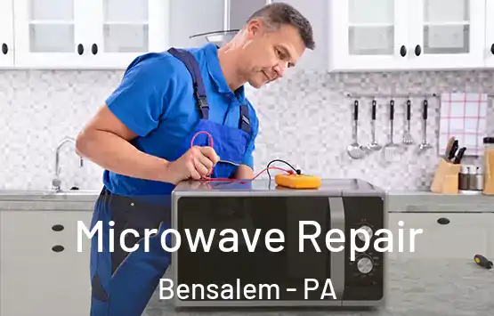  Microwave Repair Bensalem - PA
