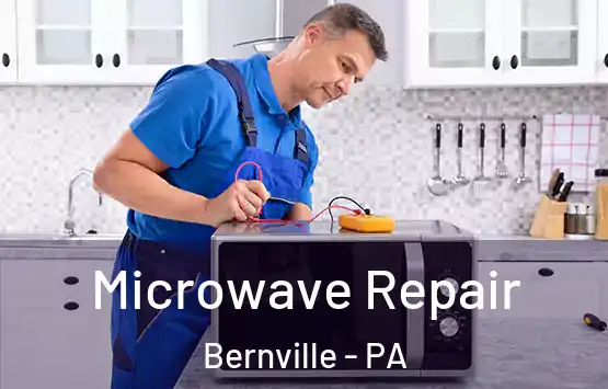  Microwave Repair Bernville - PA