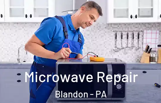  Microwave Repair Blandon - PA