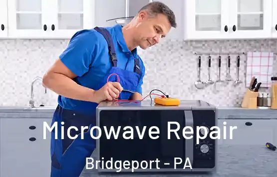  Microwave Repair Bridgeport - PA