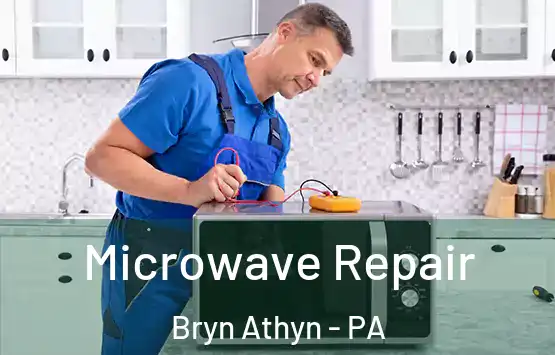  Microwave Repair Bryn Athyn - PA