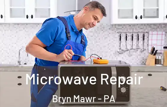  Microwave Repair Bryn Mawr - PA