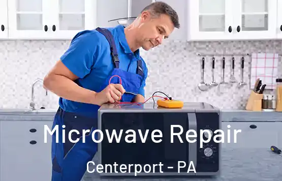  Microwave Repair Centerport - PA