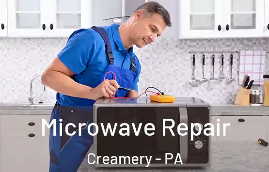  Microwave Repair Creamery - PA