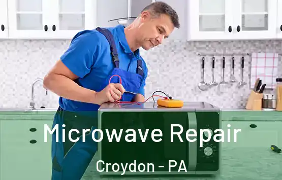  Microwave Repair Croydon - PA