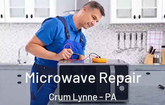  Microwave Repair Crum Lynne - PA
