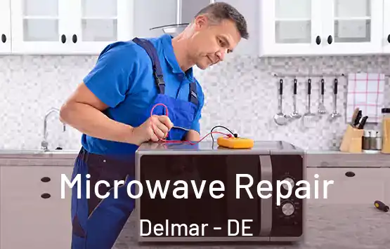  Microwave Repair Delmar - DE