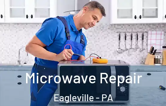  Microwave Repair Eagleville - PA