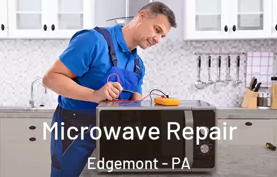  Microwave Repair Edgemont - PA