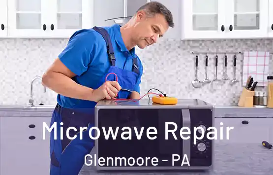  Microwave Repair Glenmoore - PA