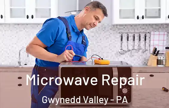  Microwave Repair Gwynedd Valley - PA