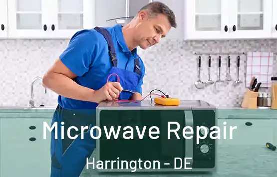  Microwave Repair Harrington - DE