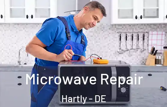  Microwave Repair Hartly - DE