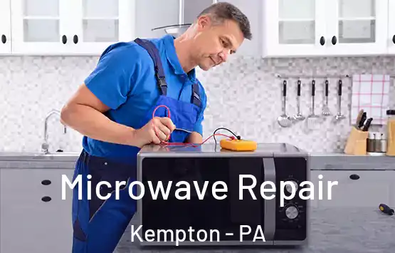  Microwave Repair Kempton - PA