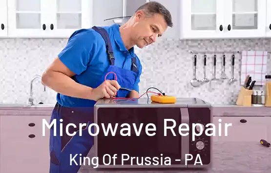  Microwave Repair King Of Prussia - PA