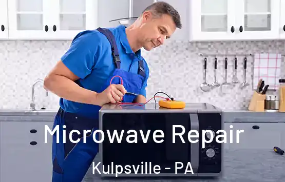  Microwave Repair Kulpsville - PA