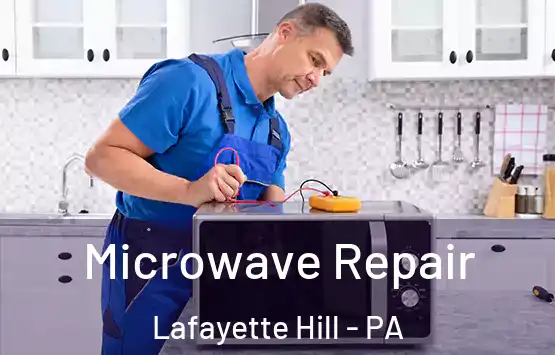  Microwave Repair Lafayette Hill - PA