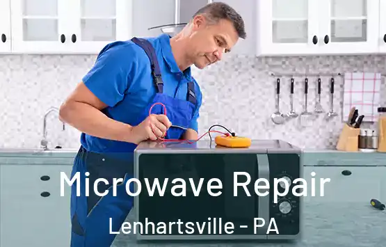  Microwave Repair Lenhartsville - PA