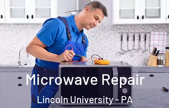  Microwave Repair Lincoln University - PA