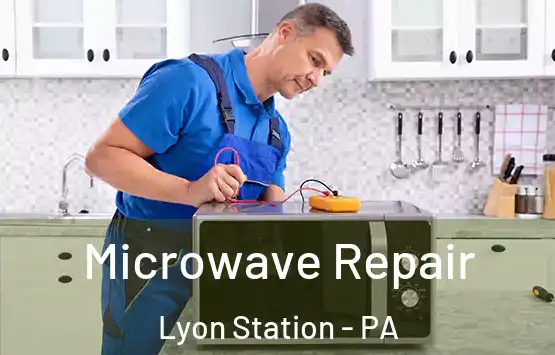  Microwave Repair Lyon Station - PA