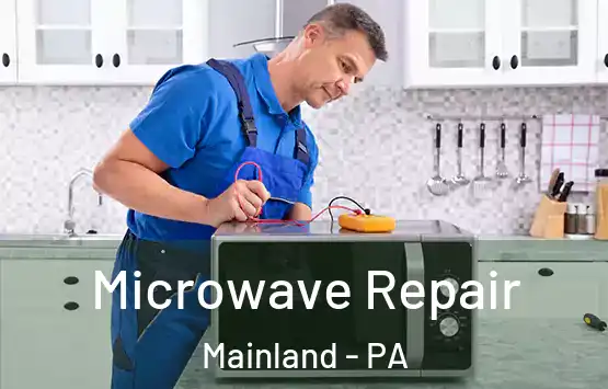  Microwave Repair Mainland - PA