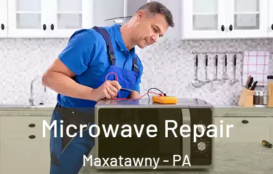  Microwave Repair Maxatawny - PA