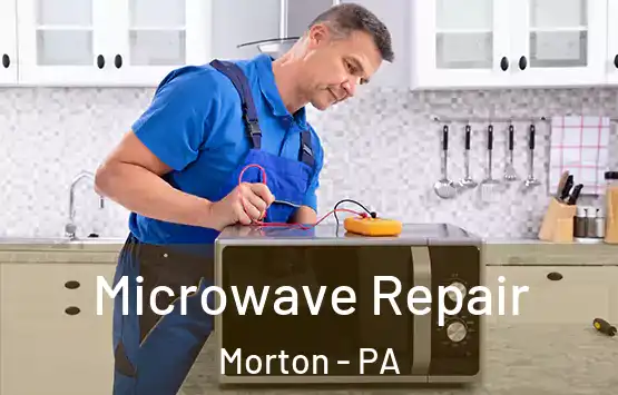  Microwave Repair Morton - PA