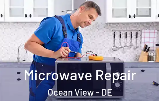  Microwave Repair Ocean View - DE