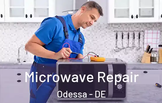  Microwave Repair Odessa - DE