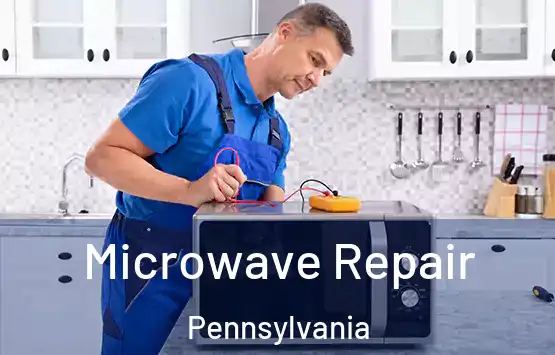  Microwave Repair Pennsylvania