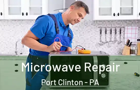  Microwave Repair Port Clinton - PA
