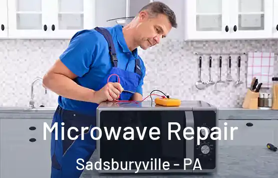  Microwave Repair Sadsburyville - PA