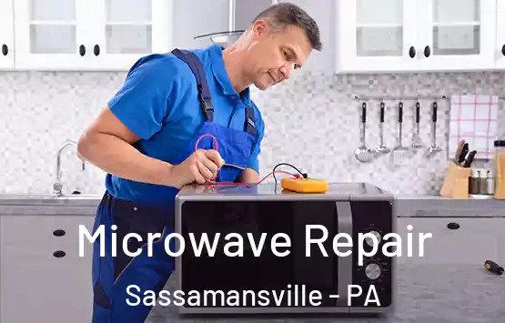  Microwave Repair Sassamansville - PA