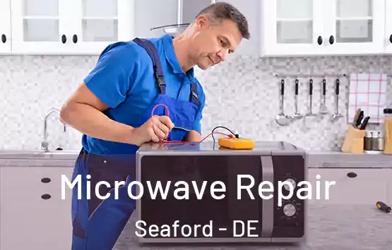  Microwave Repair Seaford - DE