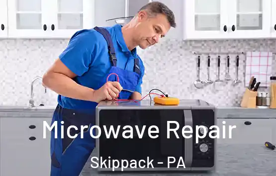  Microwave Repair Skippack - PA