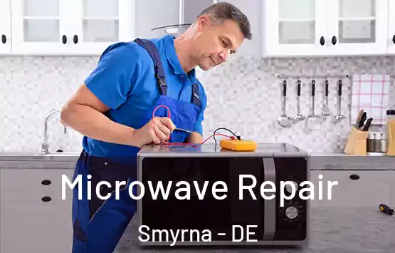  Microwave Repair Smyrna - DE