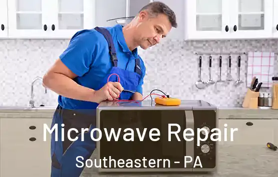  Microwave Repair Southeastern - PA