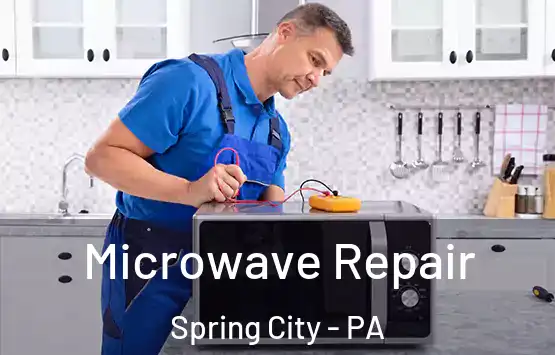  Microwave Repair Spring City - PA
