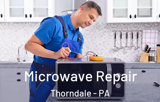  Microwave Repair Thorndale - PA