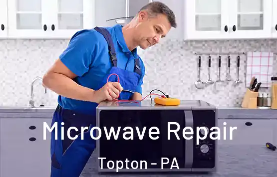  Microwave Repair Topton - PA