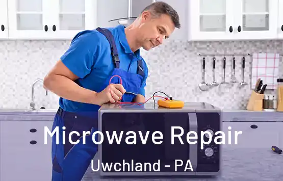  Microwave Repair Uwchland - PA