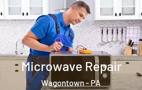  Microwave Repair Wagontown - PA