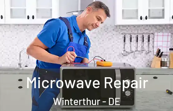  Microwave Repair Winterthur - DE