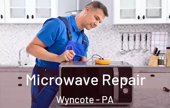  Microwave Repair Wyncote - PA